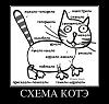     
: 26379720_shema-kota.thumbnail.jpg
: 706
:	17.1 
ID:	44058